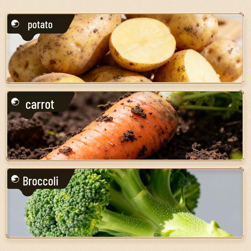 BIBIZAN Assorted Biscuits & Snacks