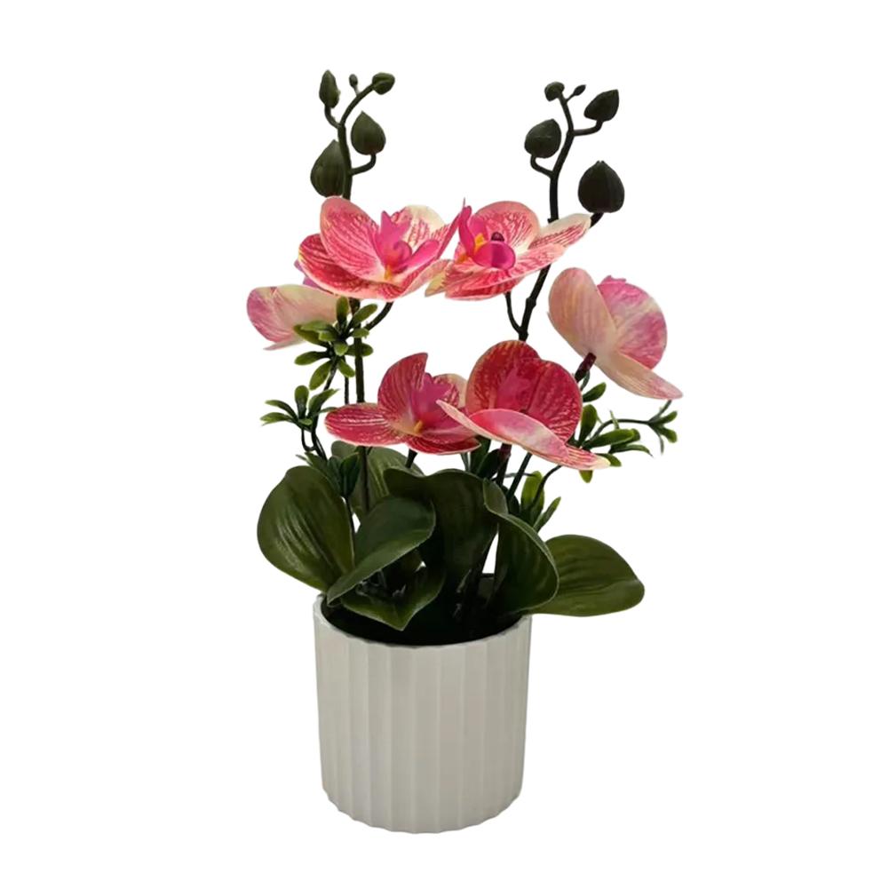 Комнатный Декор Фаленопсис Бонсай Имитация Орхидеи