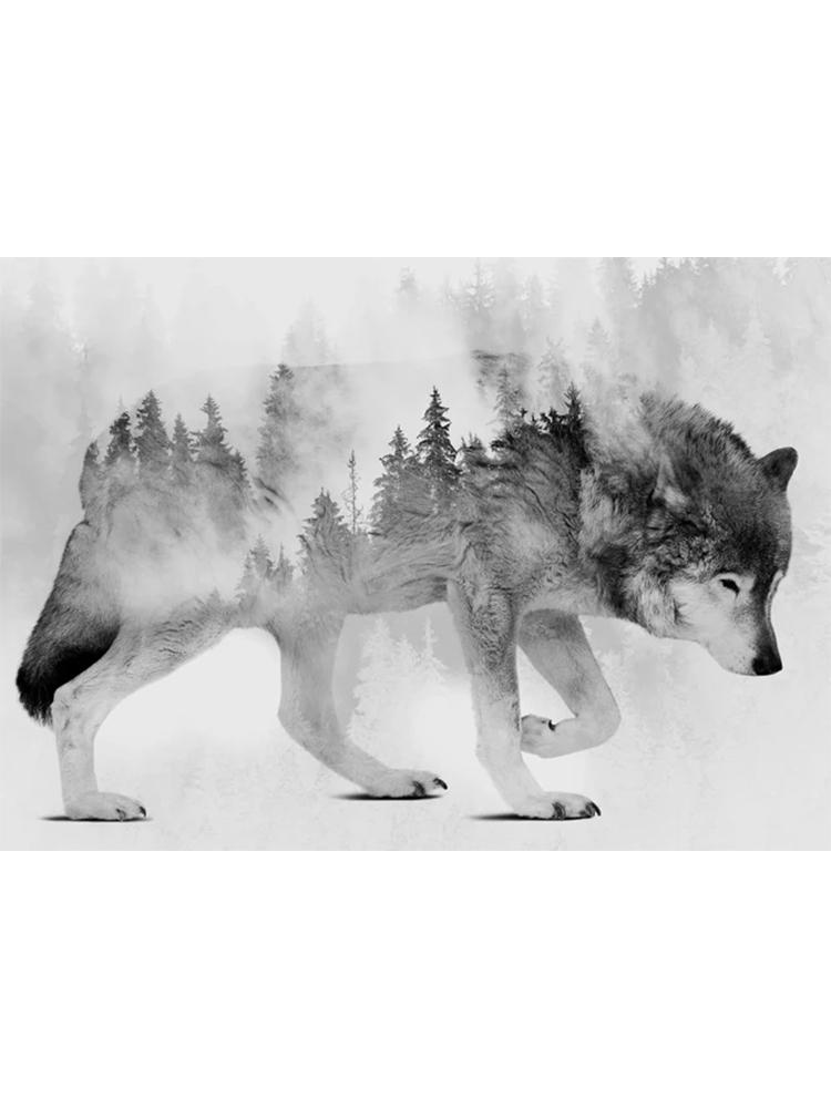 

5DDIY Алмазная картина животное дикий волк лес луна искусство инкрустация ювелирные изделия вышитые стены гостиная украшение дома подарок Full Round 20x30CM