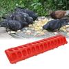Durable Plastic Bird Feeder Poultry Ground Feeder Chicken Feed Trough Pheasant Feeding Bucket
