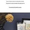 Transparent European Style Soy Wax Candle with Plant Essential Oils - Smokeless Home Aroma Gift