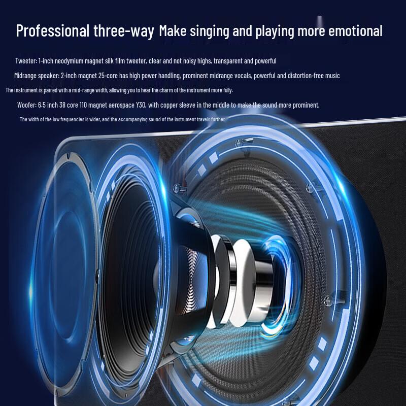 HuiDu NB-500L Professional Portable Live Performance & Recording Speaker with Dual Mics