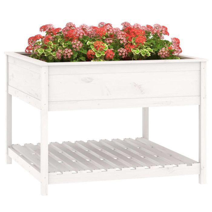 VidaXL Jardinière et étagère Blanc 111,5x111,5x81cm Bois massif de pin 823802