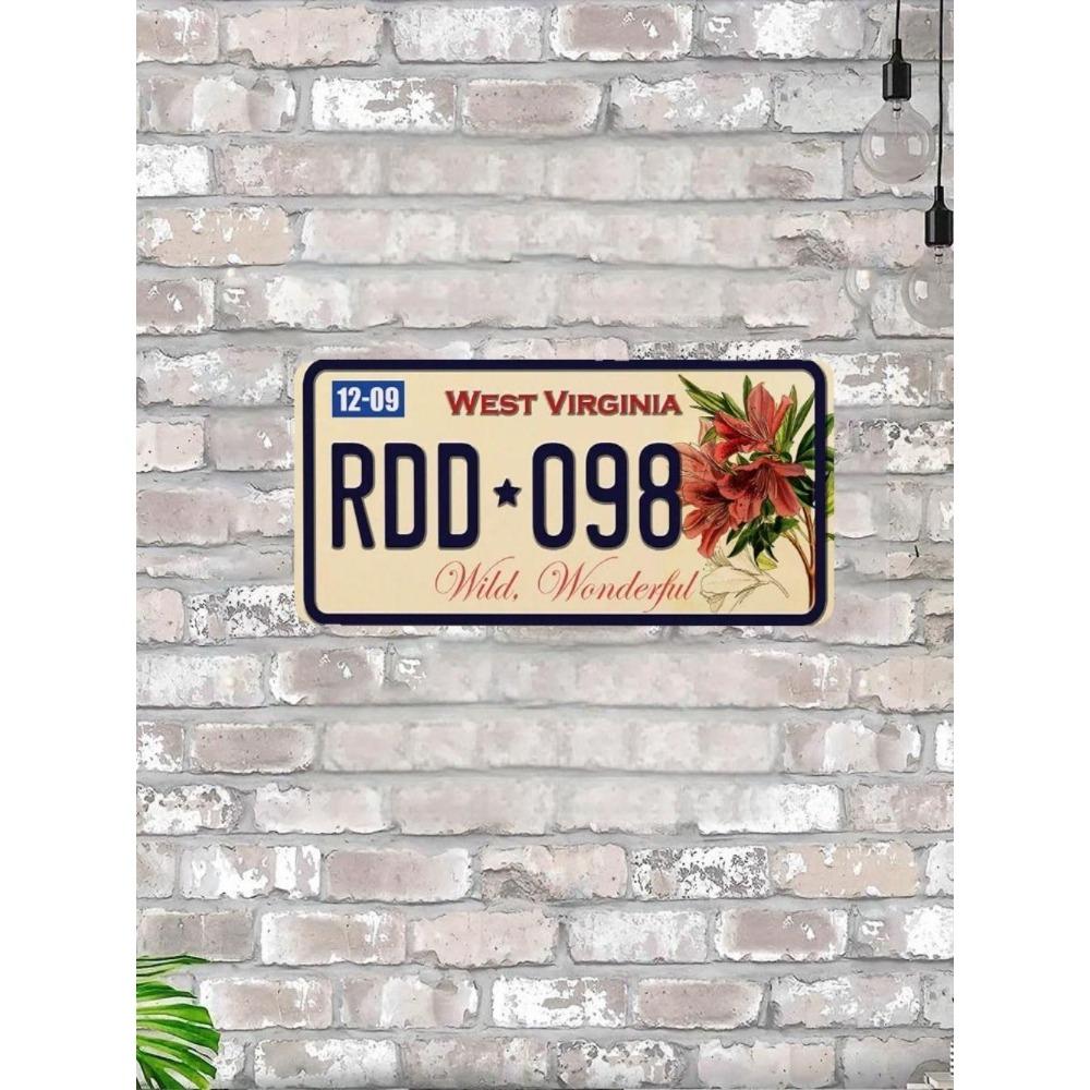 NÁS. registrační značka, USA. SPZ, kovová, 15x30 cm.