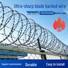 Cainuoxin Razor Wire Security Fence