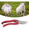 Goat Hoof Trimmers Pig Trotter Shears Pliers Animal Toe Nails Trimming Repairing Tool for Sheep, Alpaca, Lamb, Pig Hooves Multiuse Carbon Steel