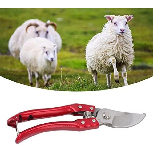 Goat Hoof Trimmers Pig Trotter Shears Pliers Animal Toe Nails Trimming Repairing Tool for Sheep, Alpaca, Lamb, Pig Hooves Multiuse Carbon Steel