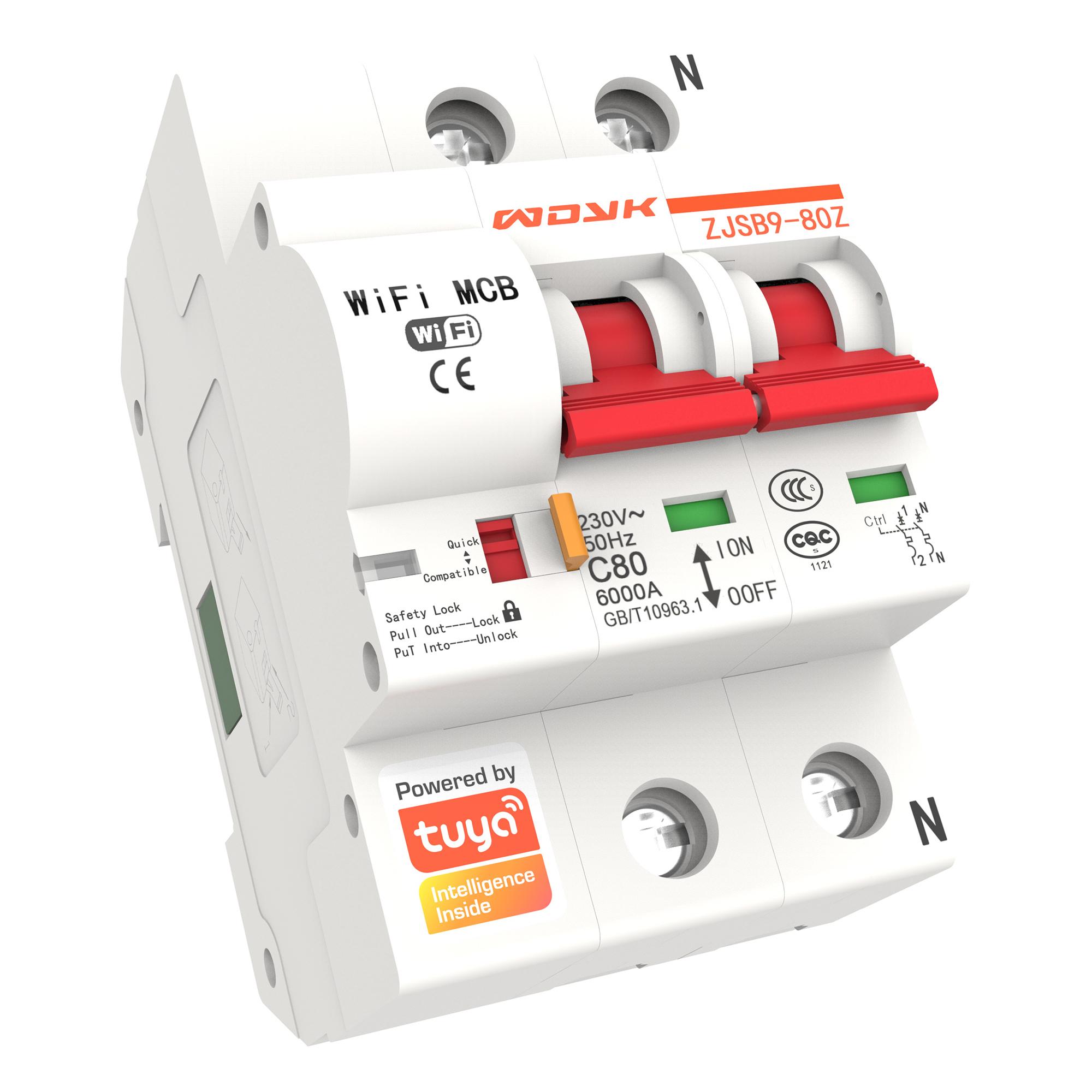 

WDYK 10A - 80A 2P Tuya Smart WiFi Circuit Breaker Remote Control Intelligent Switch for Smart Home Automation 25A