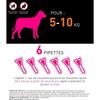 Frontline Tri-Act Chien - Anti-puces Anti-tiques Pour Chien S - 5-10kg - 6 Pipettes