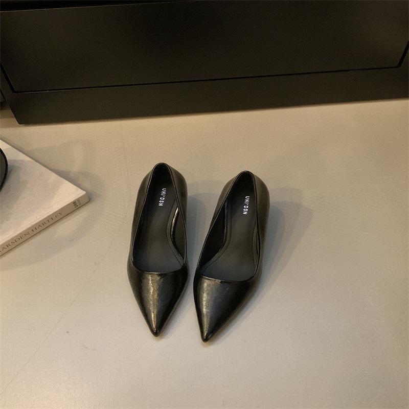 2025 spring new temperament simple high heels fashion versatile pointed black stiletto single shoes women's shoes