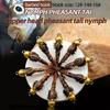 Fly Fishing Lures 6pcs Effective Nymph Fly With Natural Pheasant Tail Pattern To Attract Game Fish