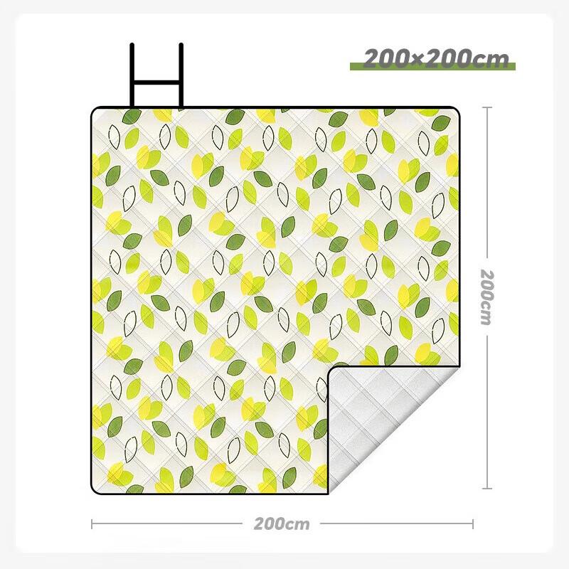 OEING Extra Thick Outdoor Flannel Picnic Mat 2 x 2 meters