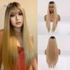 ALAN EATON Ash Grey Brown Mixed Synthetic Wigs for Women Long Straight Middle Part Hair Wigs Daily Cosplay Use Heat Resistant