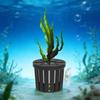 Pești și animale marine – Decorul acvariului