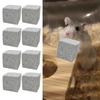 10 Grinding Stone Square Indoor Game Chew Toy for Gerbils Squirrels
