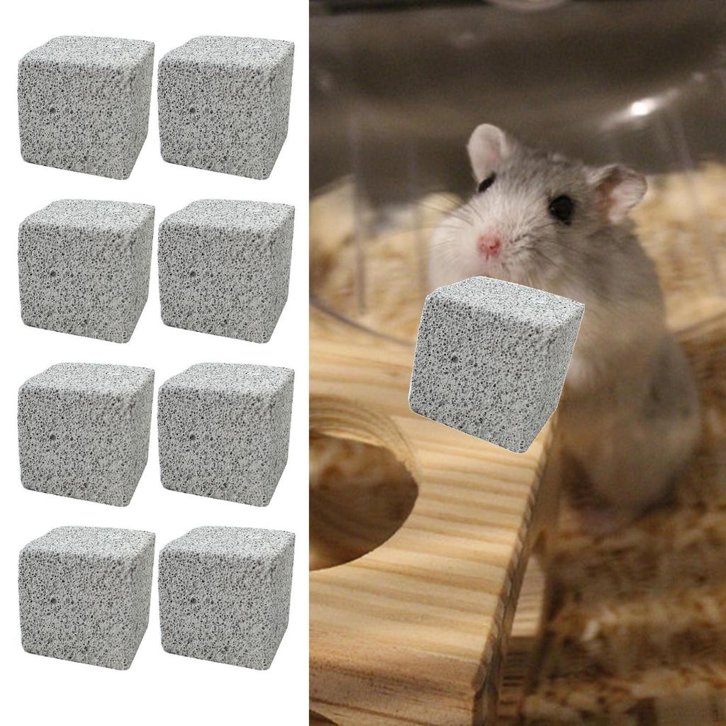 10 Grinding Stone Square Indoor Game Chew Toy for Gerbils Squirrels