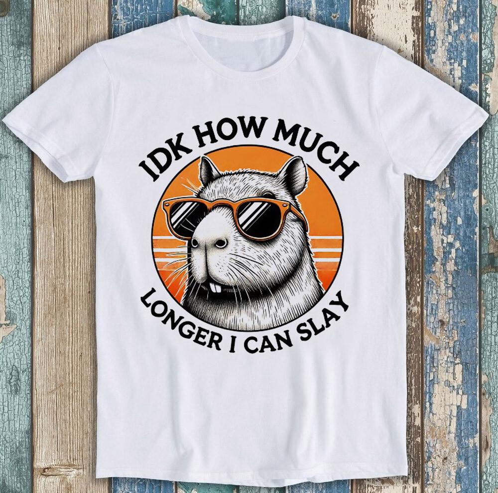 

IDK How Much Longer I Can Slay Squirrel Meme Funny Gift Tee T Shirt 1867 S