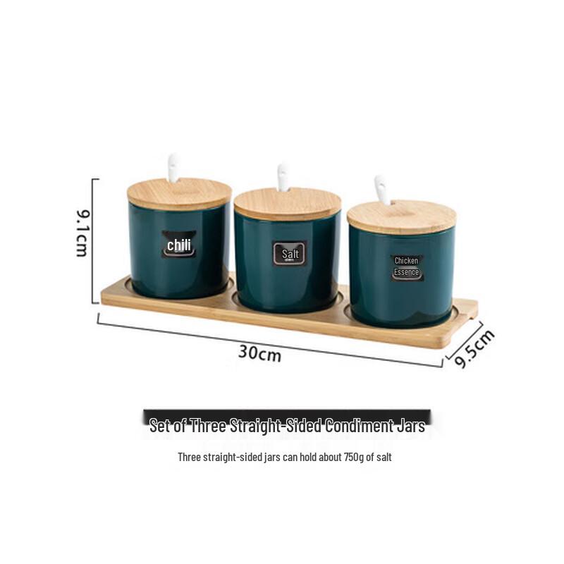 Nordic Ceramic Spice Jar Set Set of 3