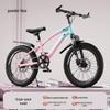 20 Inch Variable Speed Mountain Bike for Children Ages 7-11