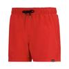 Regatta Mens Mawson II Swim Shorts