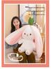 Strawberry Rabbit Plush Toy: Cute Doll Pillow & Birthday Gift for Girls