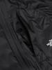 North Free Run Strike Jacket Embersoil L [The Face]