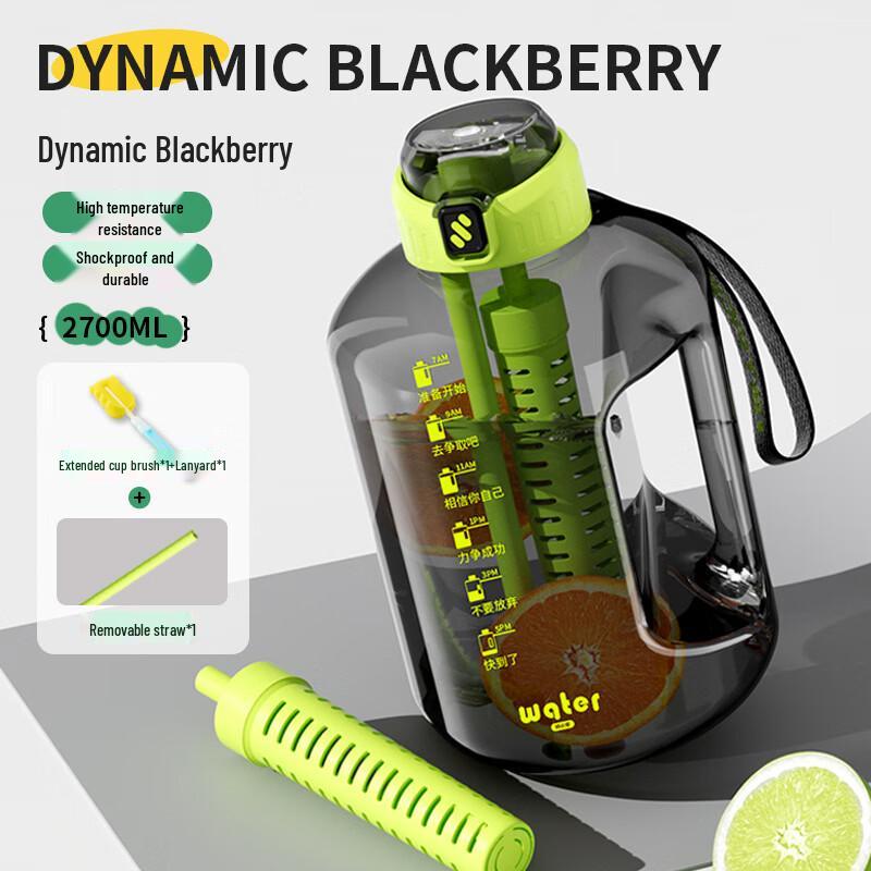 Shangqi Portable Glass-Lined Sports Water Bottle
