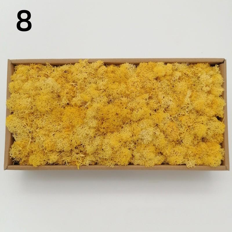 Neue 50/30/10g Künstliche Grüne Pflanzen Ewiges Leben Moos Gras Heim Garten Dekoration Mini Landschaft Künstliche Blume DIY Bastelgeschenke