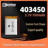 EEMB LP403450 Lithium Battery with Protection Board, 3.7V 700mAh
