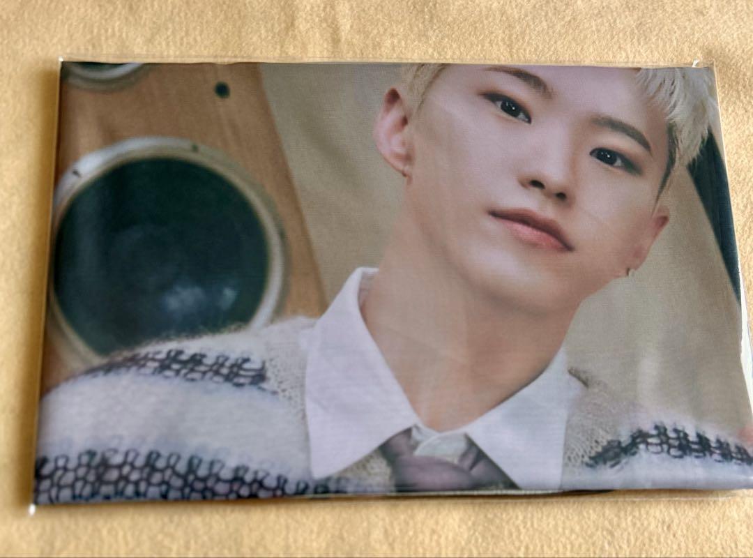 

[USED] SEVENTEEN HOSHI Fabric Poster