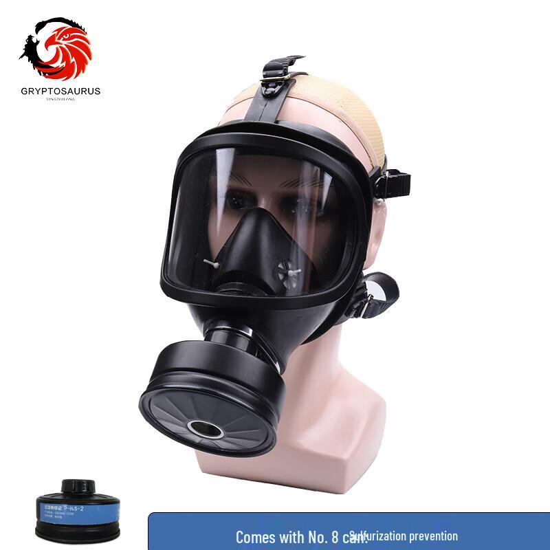 Yingzui Long MF14 Gas Mask with P-H2S-2 Filter