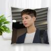 Hot Sale Custom Decorative Pillowcase Park Bo Gum Square Zippered Pillow Cover Best Nice Gift  35X35cm 45x45cm