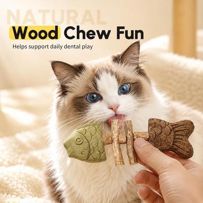 Kedi – Kedi Oyuncakları