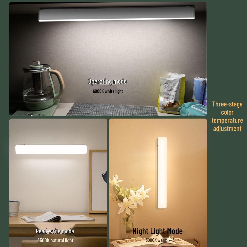 Magnetic Remote Control LED Desk Lamp, Rechargeable & Plug-In, Eye Protection for Study, Writing, Makeup