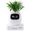 PLANTSIO G2 Smart Emotionell Växtrobot