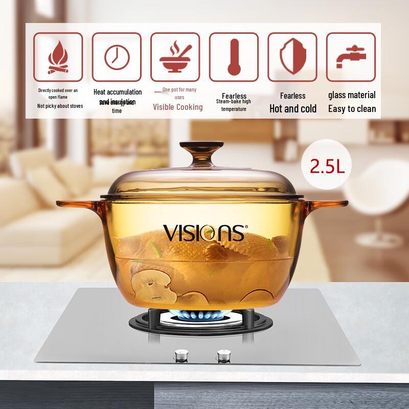 VISIONS 2.5L Transparent Glass Stew Pot