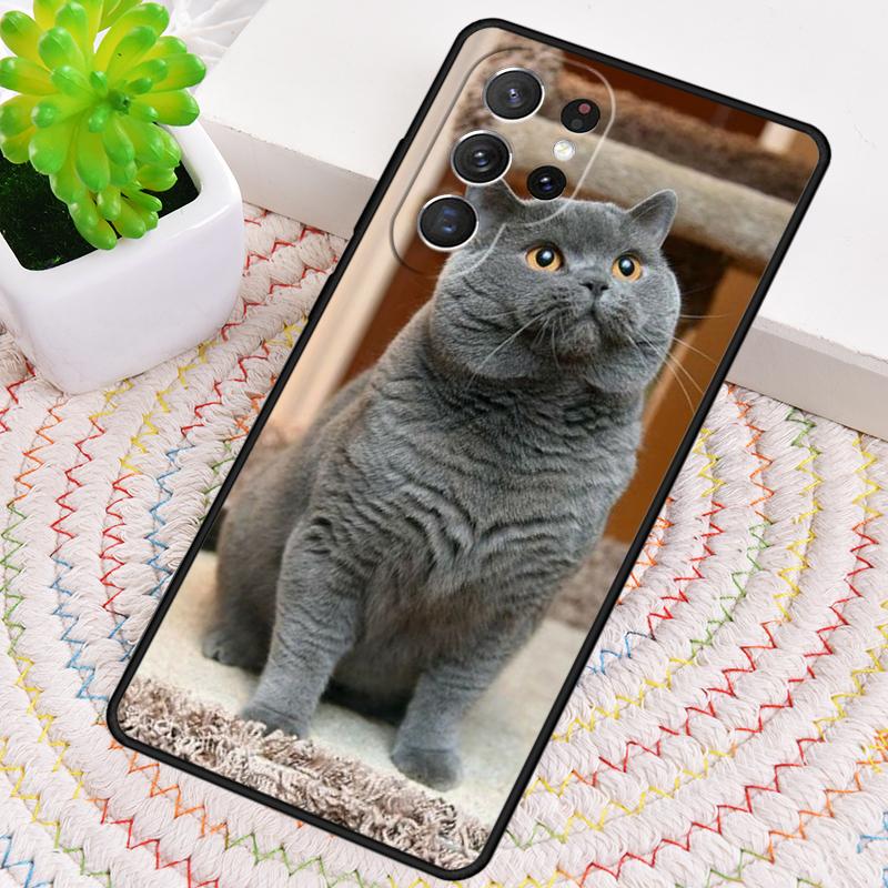Grey British Shorthair Cat Silicone Phone Case For Samsung Galaxy note 10 pro S26 S25 S24 S23 S22 S21 Plus S25Ultra Capa Cover