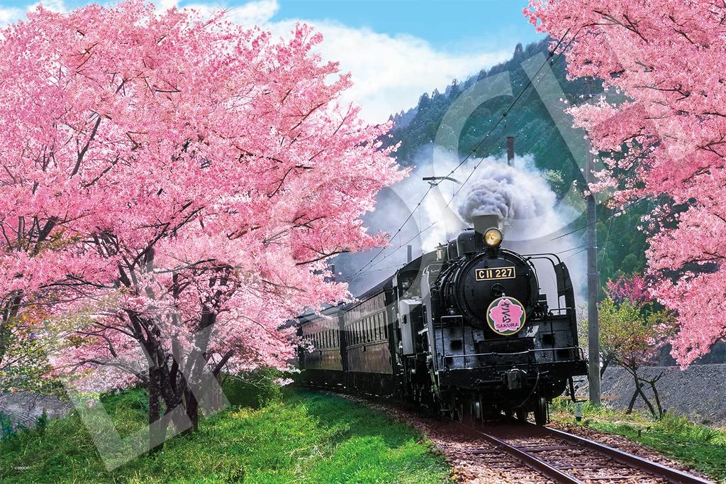 Epoch Jigsaw Japanese Cherry Blossoms and the Oigawa Railway Shizuoka Includes and Score Ticket 1000-Piece Puzzle Landscape - (50x75cm) 09-020s,