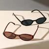 2 Pairs of Women's Oval Flat Glasses Punk Style Lightweight Durable Fashionable Women Sturdy Construction Trendy Enthusiasts