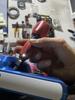 Screwdriver With Bit Set 45 Pcs.
