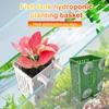 Hengende sugekoppkrok Akvariumplanteholder Plast Akvarieplantekar Plantekar Kurver Aquatic Pot Box Aquascape Dekorasjon