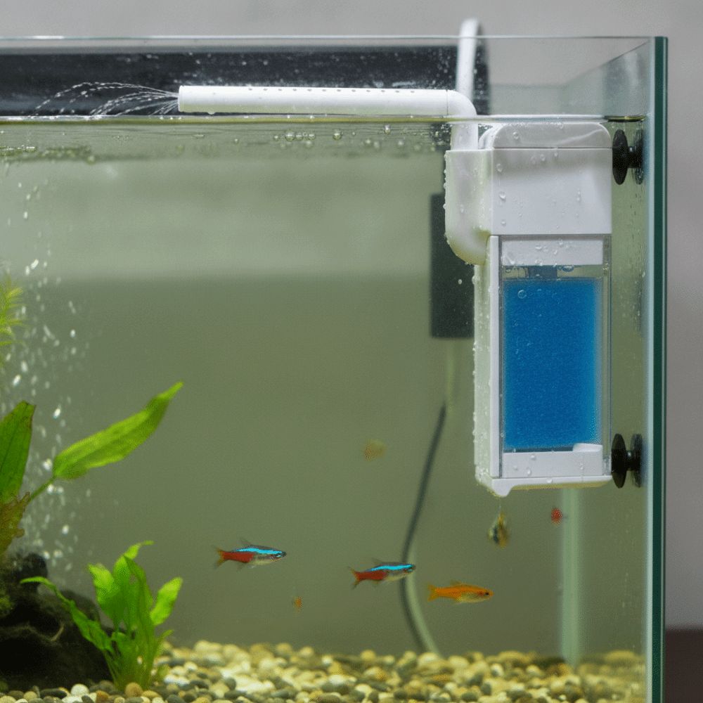 Wall-Mounted Fish Tank Filter Silent Oxygen Pump Rainy Sponge Filter Small Aquarium