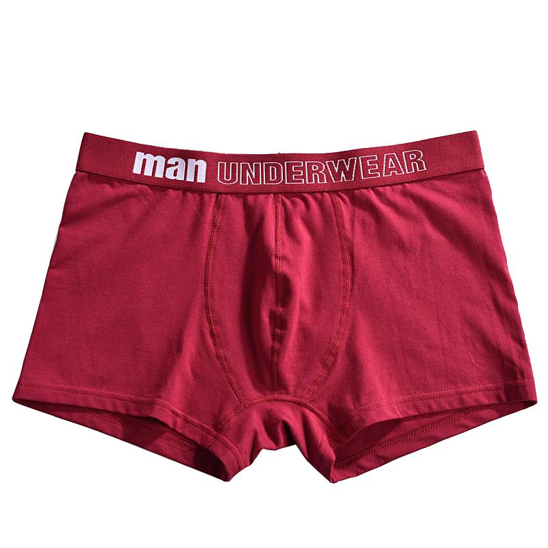 Men Underwear Shorts High Quality Underpants