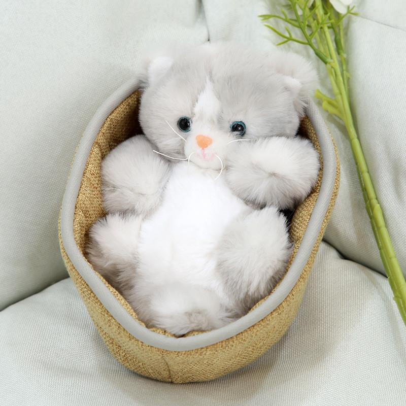 Süßes Waschbär-Stofftier Panda Kuscheltier Puppe Weiches Kreatives Geschenk für Hundebett