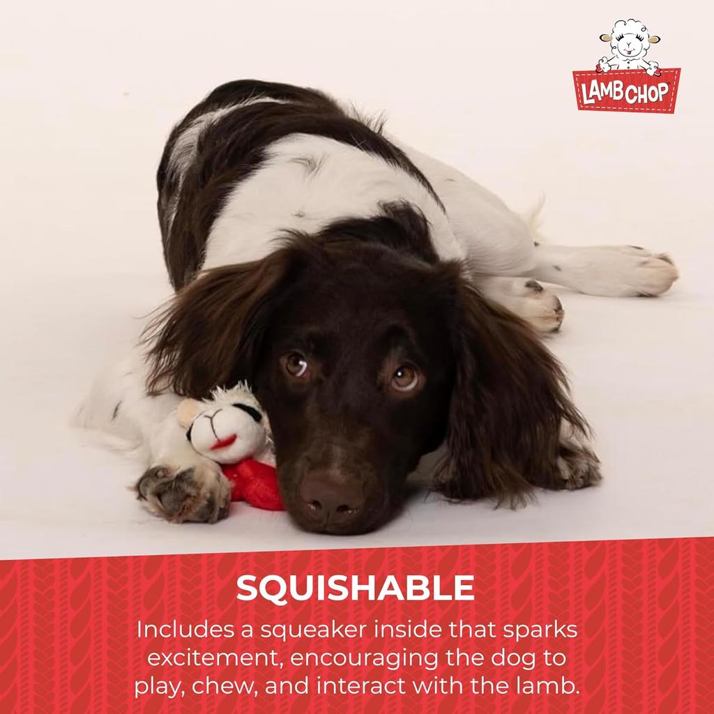Dog Plush Toy - Squeaky Toy for All Dogs - Extra Soft Plush - Stuffed Animal Dog Toy for Cuddling & Playing - Cute Pet Toy (6", Cream)