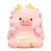 Plush Pig Dragon Toy Cartoon Animal Stuffed Doll Bedroom Decoration Kids Gift