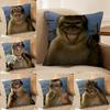 Téxteis para cozinha e sala de estar – Coberturas de almofadas