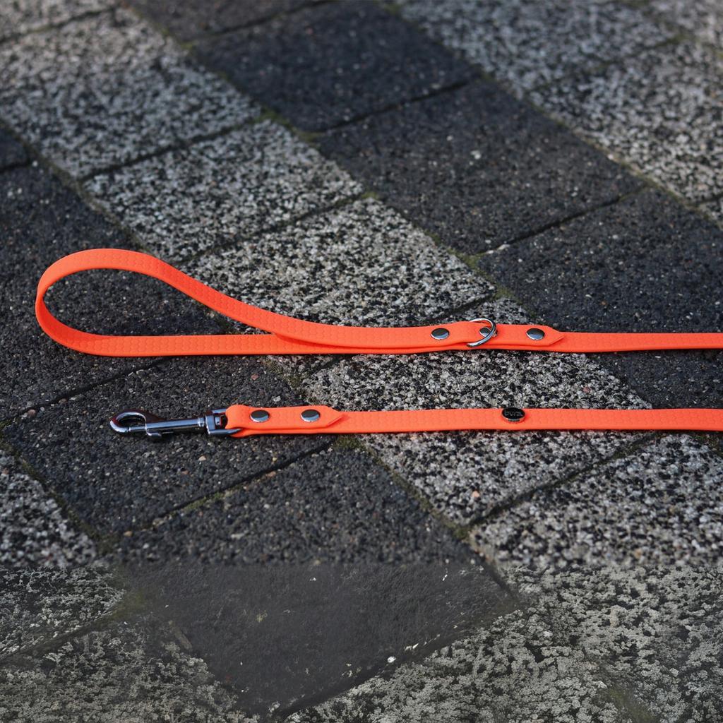 Hexa City Dog Leash, Wide, S, /Neon