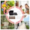 Plant Starter Trays Greenhouse Propagator Cover Flowers Vegetables Growing Plant Starter Trays For Flowers Vegetables Indoor