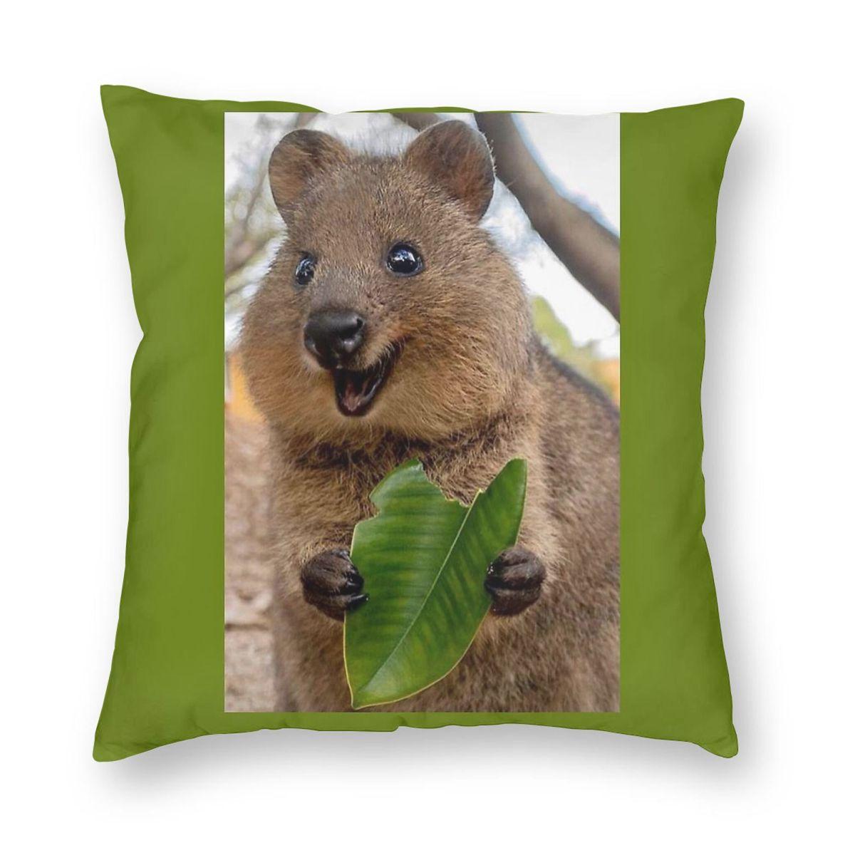 Cvocca Квокка Квадратная Наволочка Полиэстер Лен Бархат Креативная Молния Декор Наволочка Для Подушки Комнатная Подушка-Подушка 30x30cm